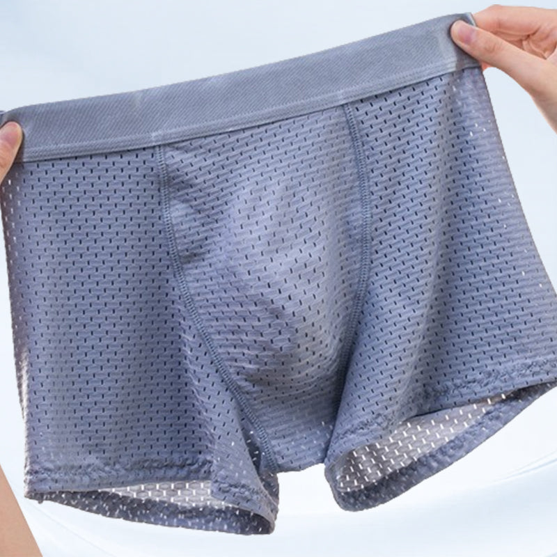 🔥BUY 2 GET 8% OFF🔥Nylon Ice Silk Breathable Men's Underwear