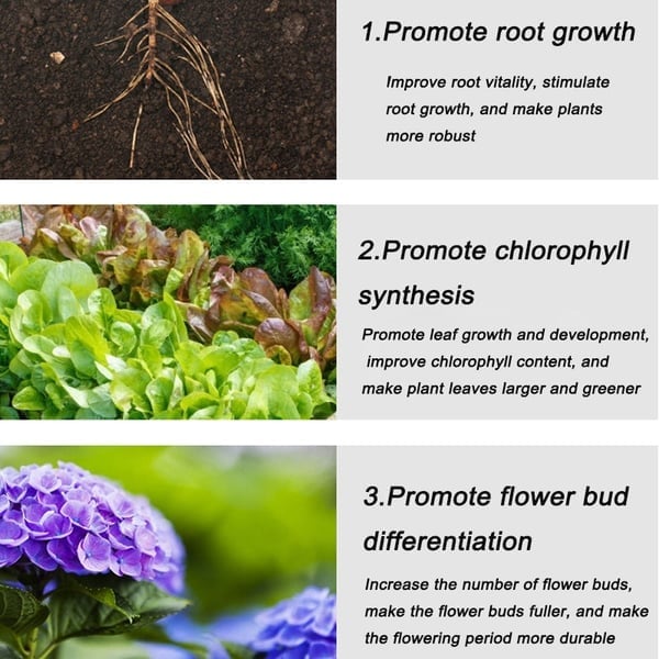 🔥2025 Hot Sale 49%OFF 🌞Home Gardening Universal Slow-Release Tablet Organic Fertilizer