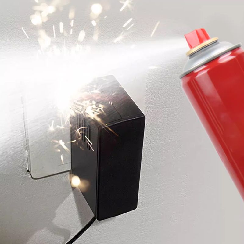 Car and Household 21B Water-based Fire Extinguisher