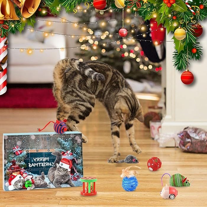 🎄🎁2025 Christmas Countdown Cat&Dog Toys Advent Calendar🐾🥳