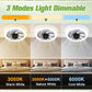 2-in-1 Mute Adjustable Fan Light with Remote Control