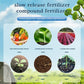 🔥2025 Hot Sale 49%OFF 🌞Home Gardening Universal Slow-Release Tablet Organic Fertilizer