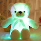 ⏳Limited-time 50% off⏰Teddy bear, colourful LED light, soft toys🌈🧸