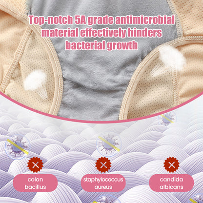 Buy 5 Get 5 Free🔥-New Upgrade High Waist Leak Proof Panties