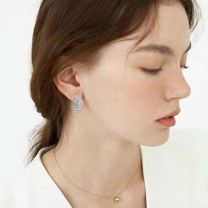 The Most Sparkling Gift🔥 New French Full Diamond Earrings