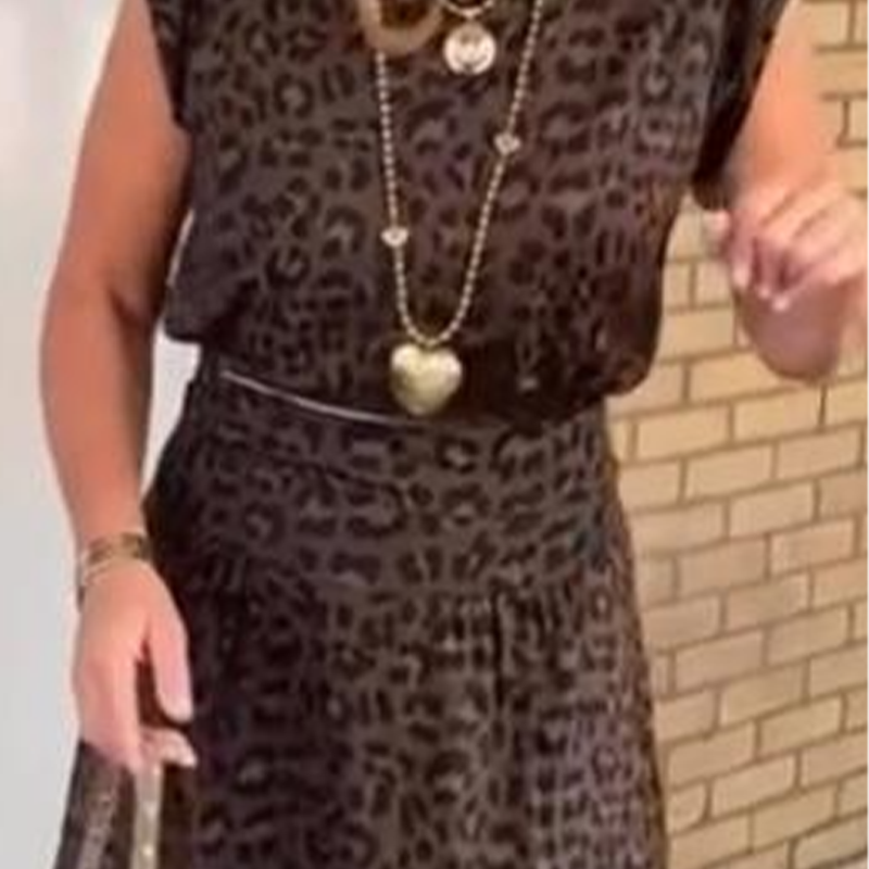Women’s Leopard Print Top and Skirt Set