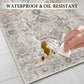 Washable Area Rugs for Living Room