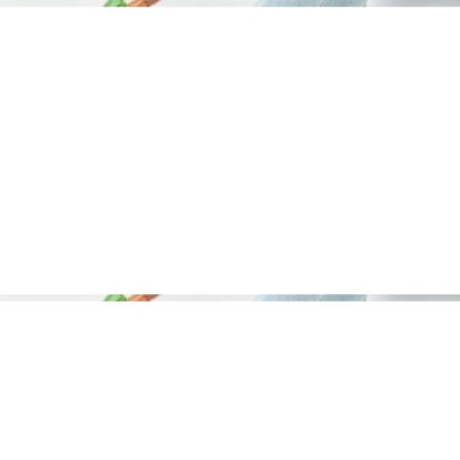 Women's Classic Slip-On Loafer