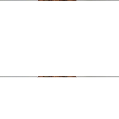 Women's High-Waisted Wide-Leg Pants