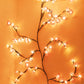Floral Vine Ambiance Lights