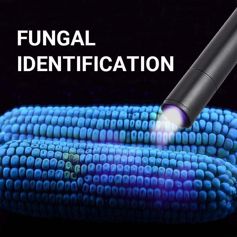 USB Rechargeable High-Power LED UV Light