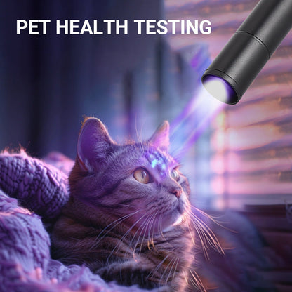 USB Rechargeable High-Power LED UV Light