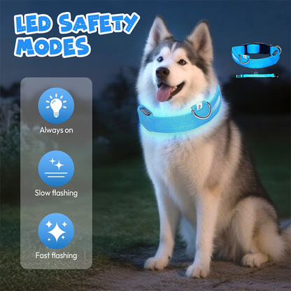 Adjustable LED Dog Collar for Dog Safety