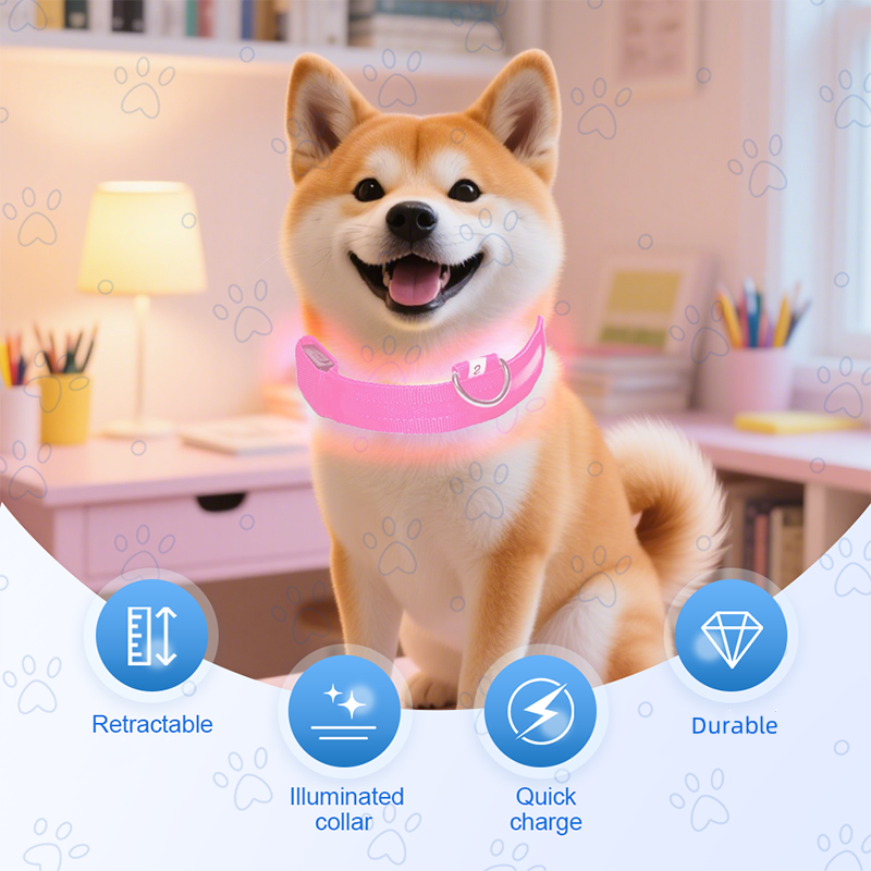 Adjustable LED Dog Collar for Dog Safety