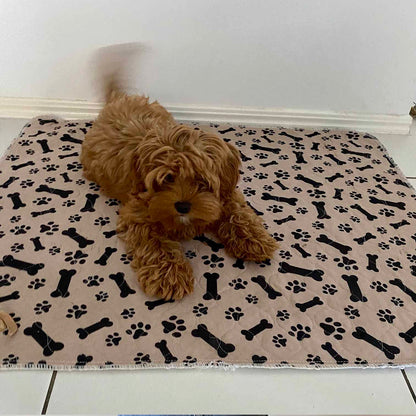 Hot Sale🔥Premium Re-Useable Accident-Proof Puppy Pads🐾 (Kitten & Other Pets)