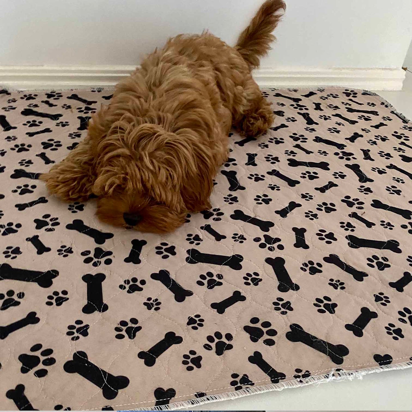 Hot Sale🔥Premium Re-Useable Accident-Proof Puppy Pads🐾 (Kitten & Other Pets)