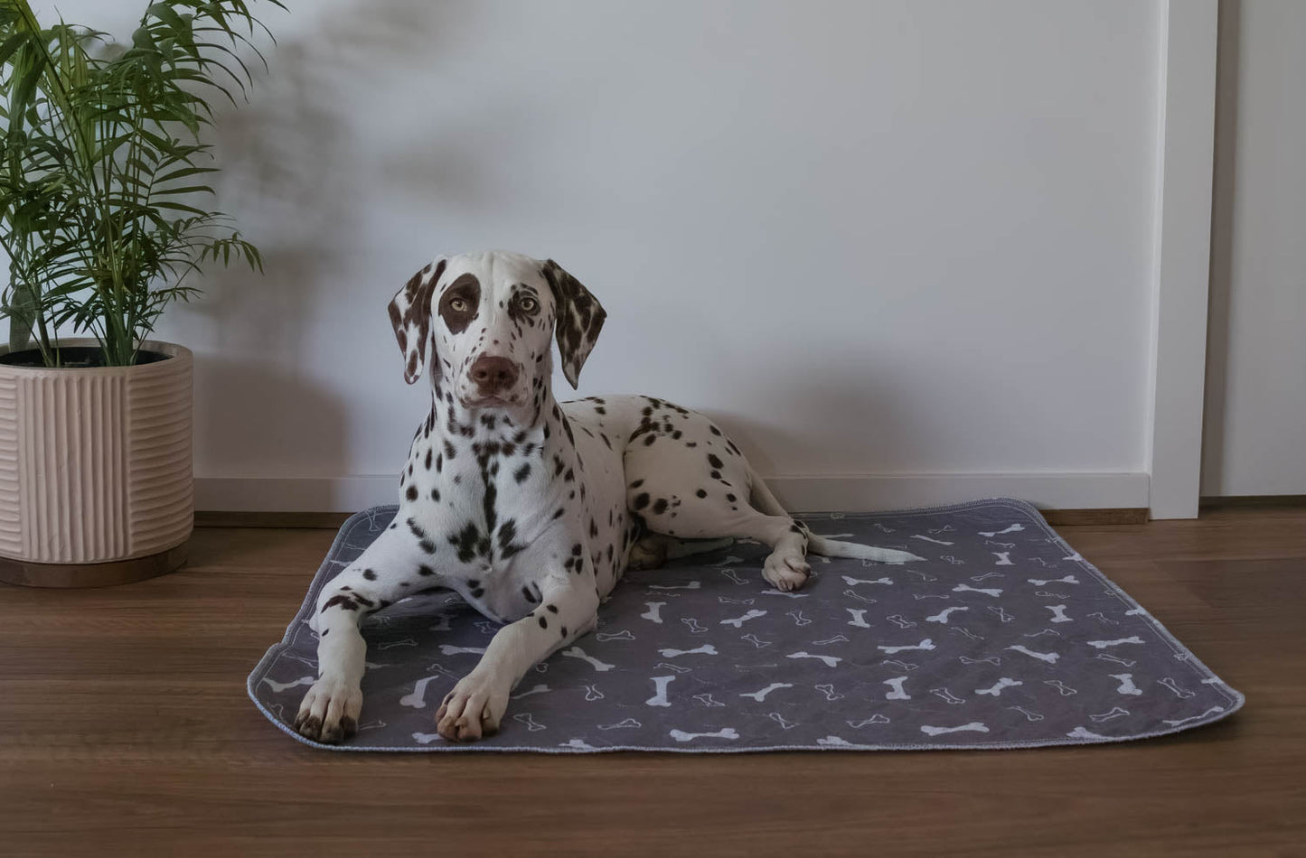 Hot Sale🔥Premium Re-Useable Accident-Proof Puppy Pads🐾 (Kitten & Other Pets)