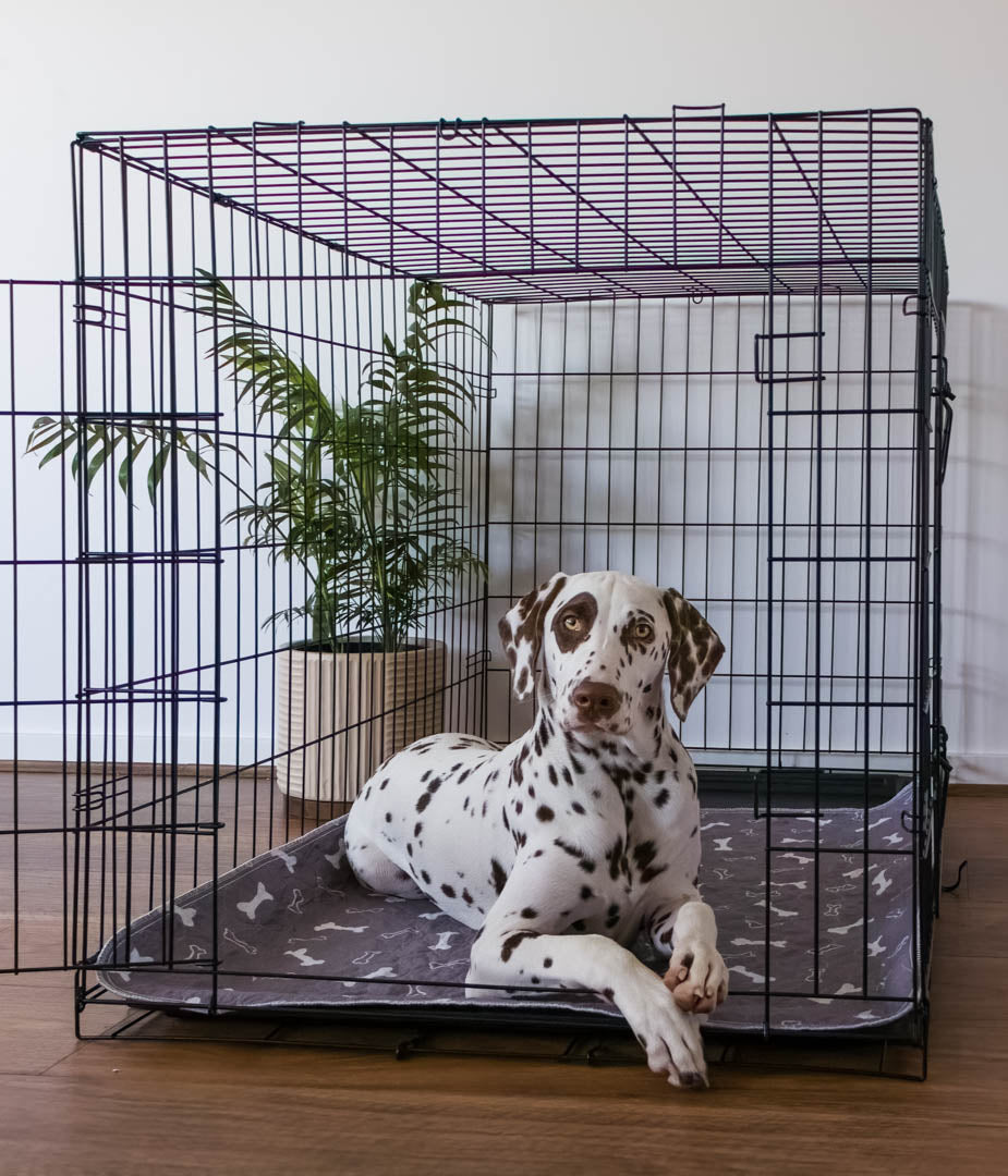 Hot Sale🔥Premium Re-Useable Accident-Proof Puppy Pads🐾 (Kitten & Other Pets)