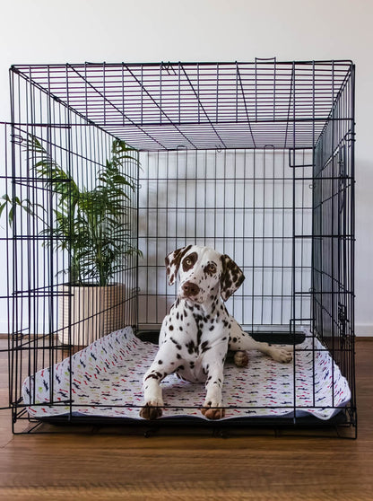 Hot Sale🔥Premium Re-Useable Accident-Proof Puppy Pads🐾 (Kitten & Other Pets)