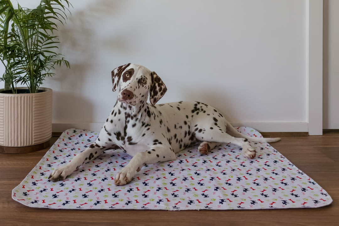 Hot Sale🔥Premium Re-Useable Accident-Proof Puppy Pads🐾 (Kitten & Other Pets)
