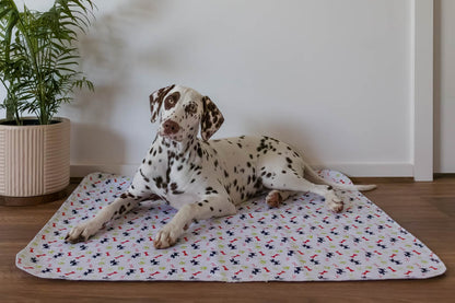 Hot Sale🔥Premium Re-Useable Accident-Proof Puppy Pads🐾 (Kitten & Other Pets)