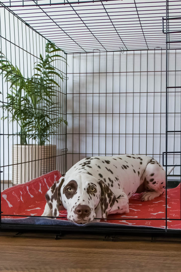 Hot Sale🔥Premium Re-Useable Accident-Proof Puppy Pads🐾 (Kitten & Other Pets)