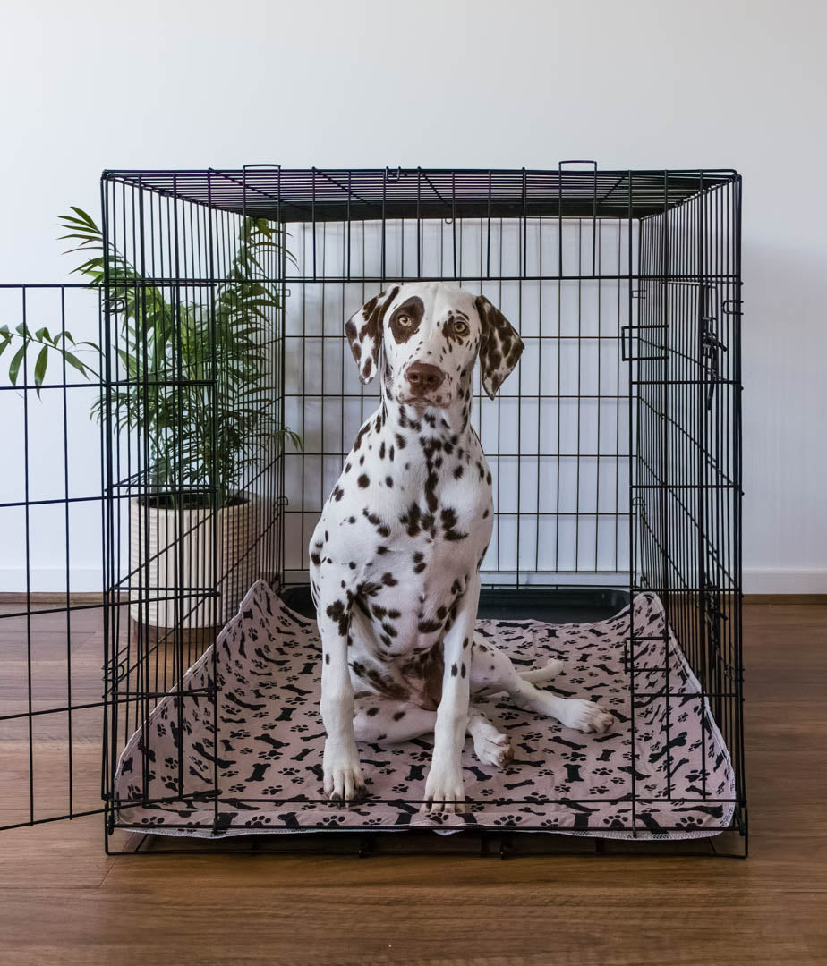 Hot Sale🔥Premium Re-Useable Accident-Proof Puppy Pads🐾 (Kitten & Other Pets)