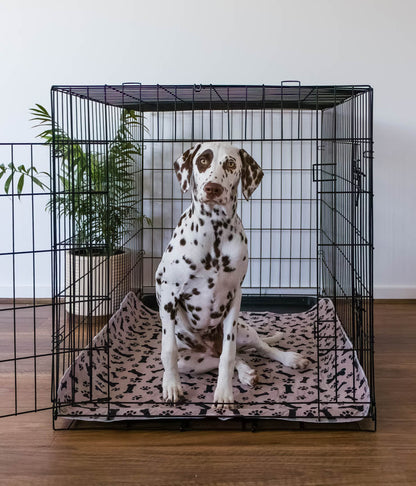 Hot Sale🔥Premium Re-Useable Accident-Proof Puppy Pads🐾 (Kitten & Other Pets)