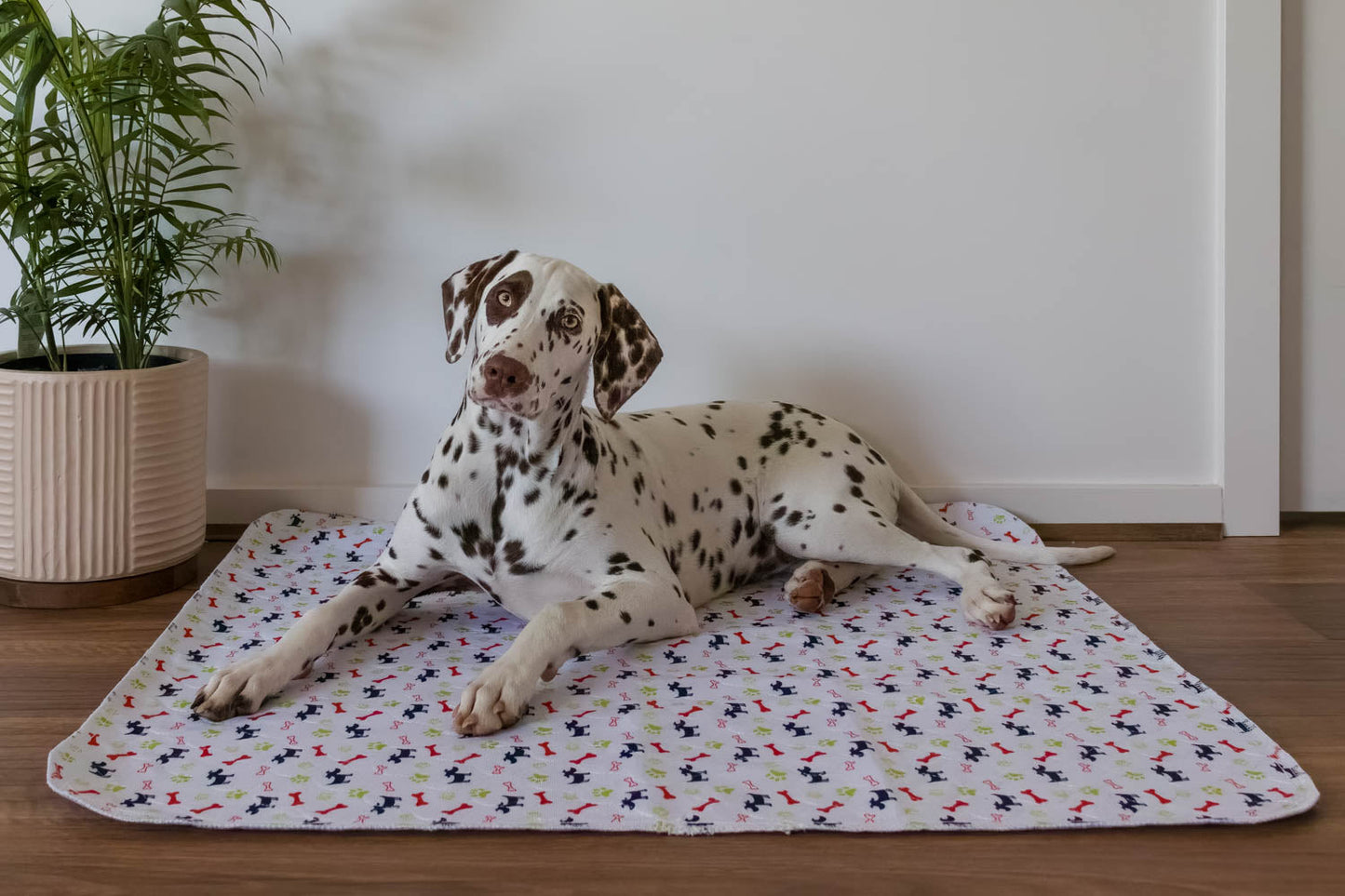 Hot Sale🔥Premium Re-Useable Accident-Proof Puppy Pads🐾 (Kitten & Other Pets)