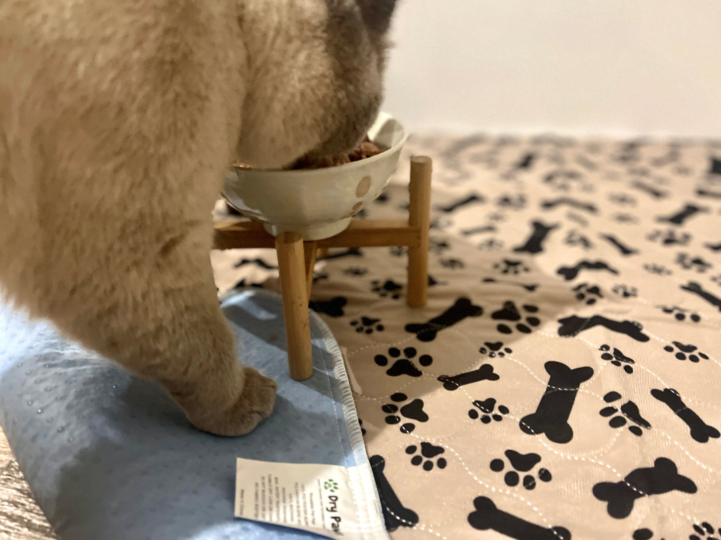 Hot Sale🔥Premium Re-Useable Accident-Proof Puppy Pads🐾 (Kitten & Other Pets)