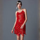 Women's Sequin Fringe Party Dress