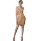 Women's Sequin Fringe Party Dress