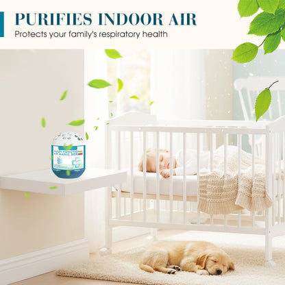 🔥2026 New Collection-70% OFF⏰Indoor Air Purification Dust Removal Magic Box🏠🌿