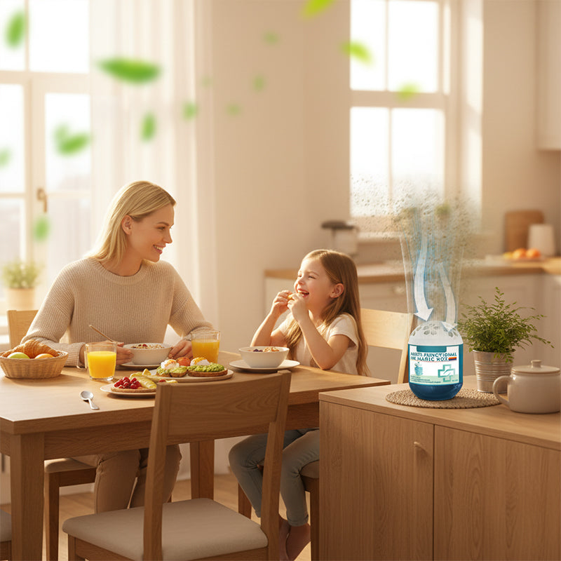 🔥Limited-Time Pre-Sale⏰Indoor Air Purification Dust Removal Magic Box🏠🌿
