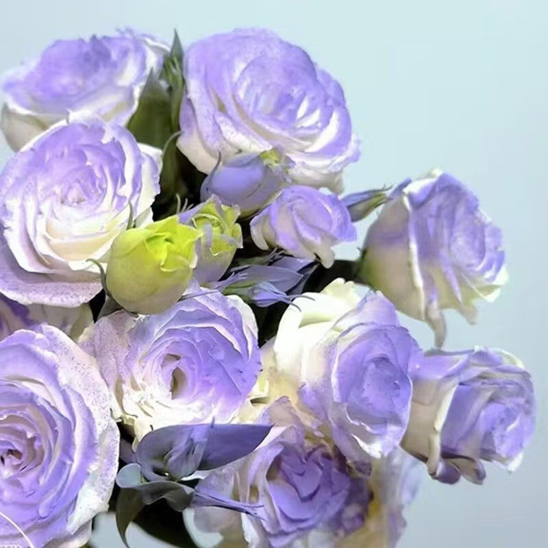 Mixed Rose Plant Seeds