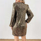 Women's Long Sleeve V-Neck Sequin Party Dress
