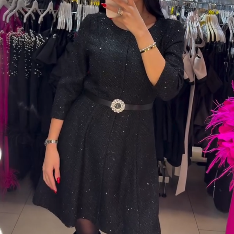 Women's Long Sleeve Sparkle A-Line Dress