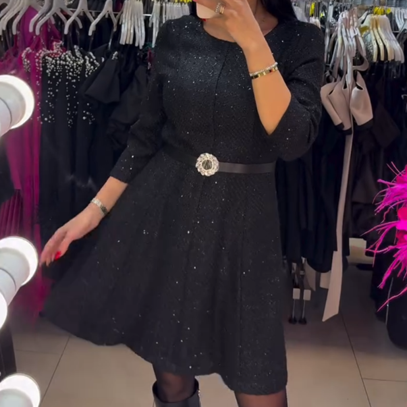 Women's Long Sleeve Sparkle A-Line Dress