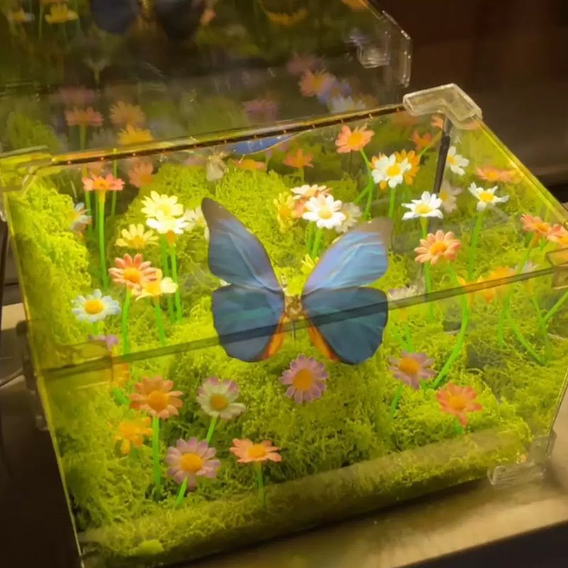 DIY Infinity Mirror Butterfly Night Light Kit