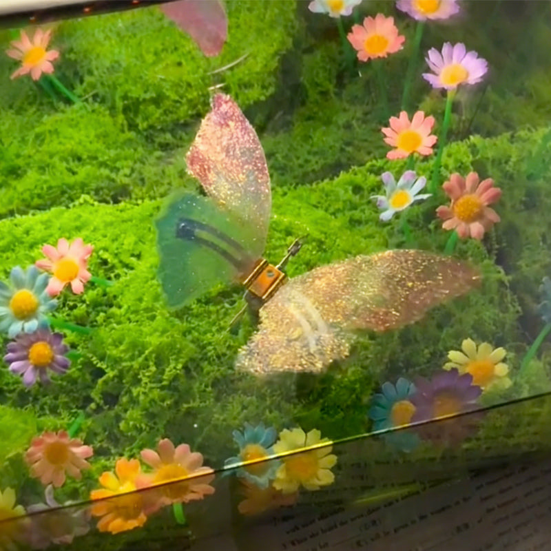 DIY Infinity Mirror Butterfly Night Light Kit