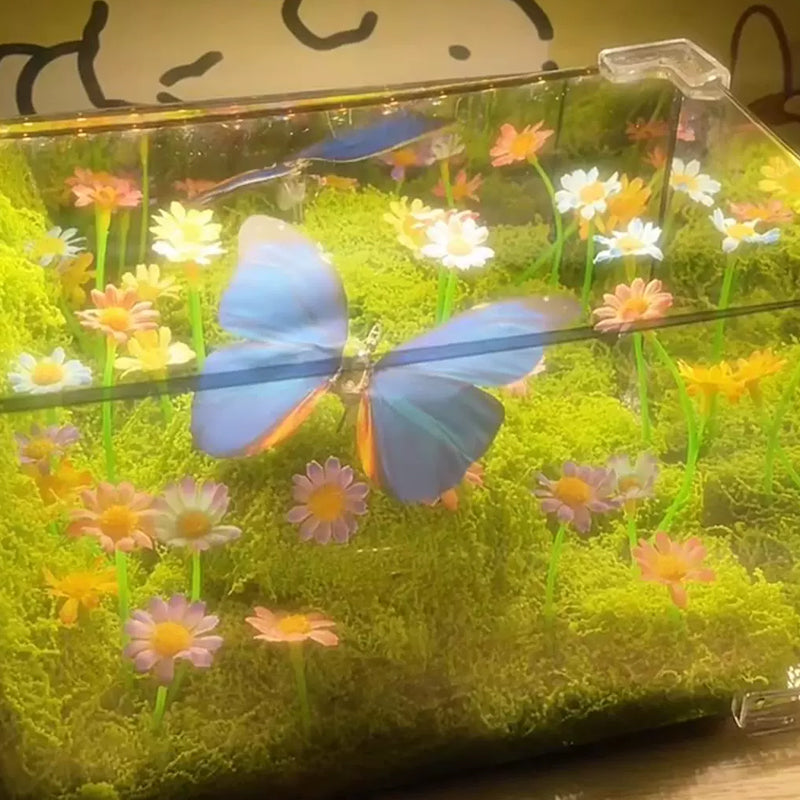 DIY Infinity Mirror Butterfly Night Light Kit