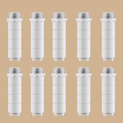 Portable Filtered Shower Head