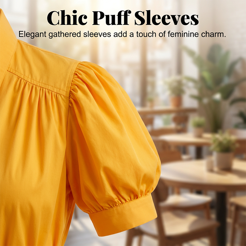 Women's Elegant Puff Sleeve A-Line Dress