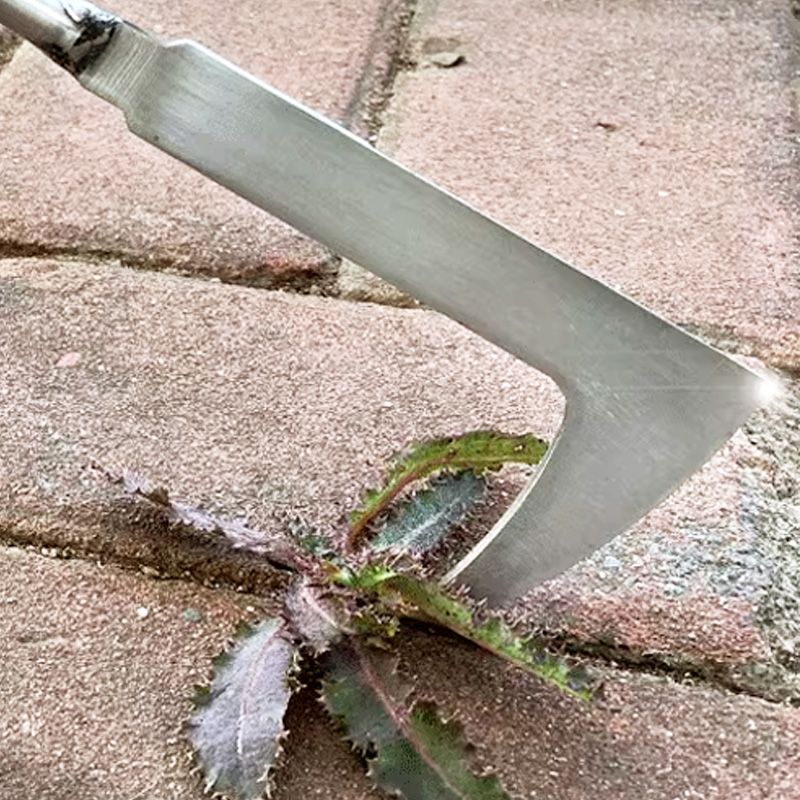 🔥Hot Sale🔥Multipurpose Crevice Weeding Tool，Removes Weeds from Pavers🌿🛠️