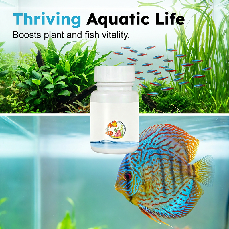 ⏰🔥49% OFF! 🌿 Instant Water Dechlorinator – Safe & Healthy Fish Tanks 🐠