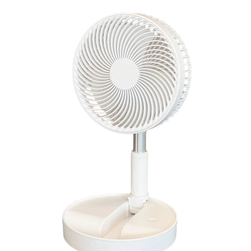 Portable Multifunctional Telescopic Floor Fan