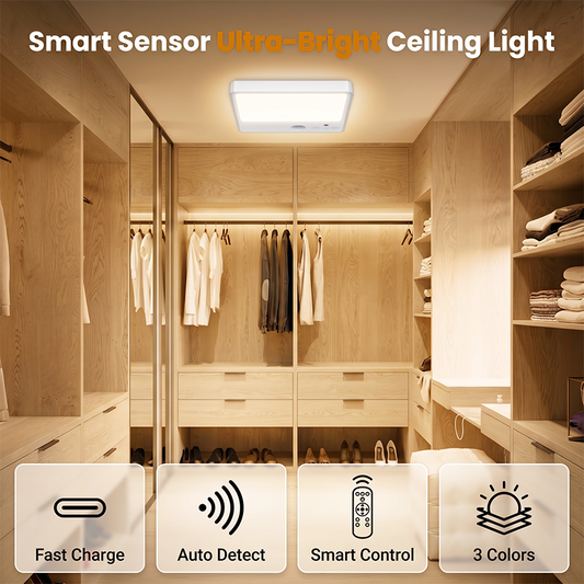 Rechargeable Motion Sensor Ceiling Light